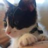 @gitter_piedoom:matrix.org