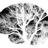@ezrab:matrix.org