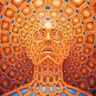@oakheartwizard:matrix.org