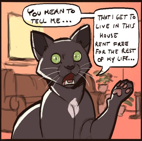 01 housecat tradeoff - by arven92.jpg