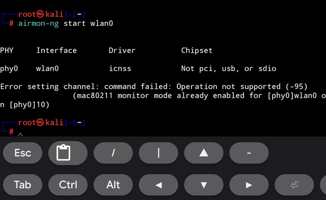 Screenshot_20230529-083253_NetHunter Terminal_1.png