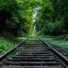 @gitter_sammoh94:matrix.org
