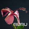 @rugyada:matrix.org