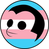 @chelseafinnie:matrix.org