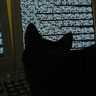 @stinkydeer:matrix.org