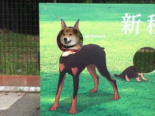 ima_24b0f6f.jpeg