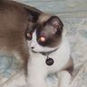 @-fragilechip7155:matrix.org