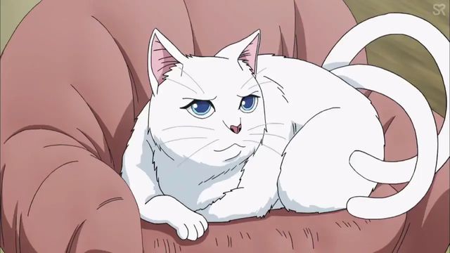 4 Mayonaka no Occult Koumuin - 01_15.webp