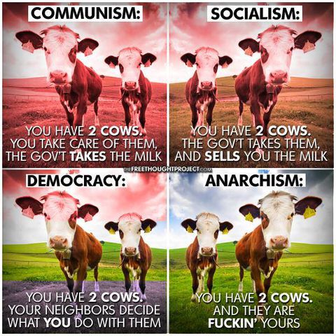 State - Anarchy and cows.jpg