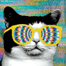 @krmkcbs:matrix.org