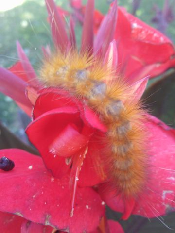 ā”-dļ¾cute-animals(5b9fad9b)1012191505b.jpg