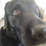 @vovven:matrix.org