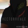 @gitter_vectorvitale:matrix.org