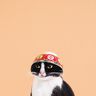 @mattb:matrix.org