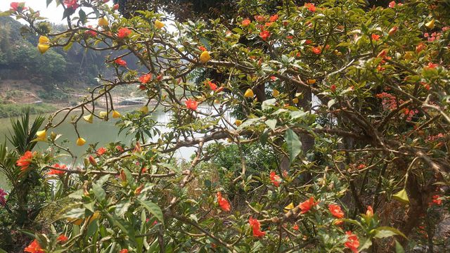 IMG_20210316_112719.jpg