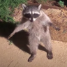 @gitter_jacoby-y:matrix.org