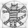 @gitter_mbazarov:matrix.org