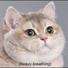 @ThorHop:matrix.org