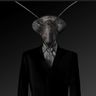 @qwynnyx:matrix.org