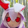 @amoonrabbit:matrix.org