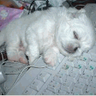 @gitter_huanlin:matrix.org