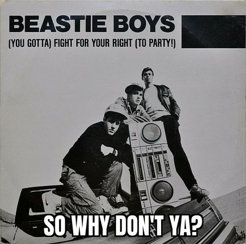 Fight for your right .jpg