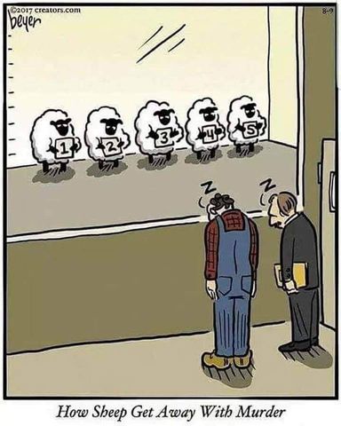 goodboomerhumor-l8iiaj.jpg