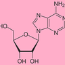 @adenosine:matrix.org