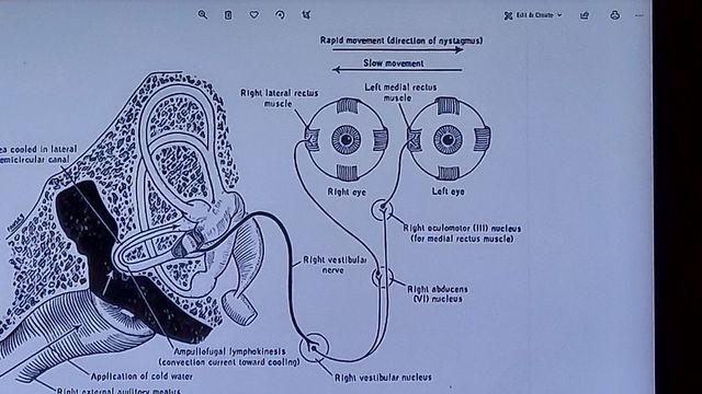 20210614_044101.jpg