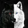 @max-the-wolf1:matrix.org