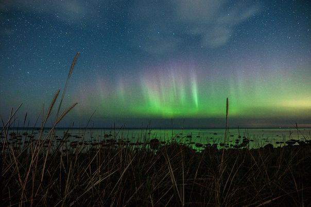 aurora.jpg