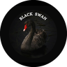 @blackswan-88:matrix.org