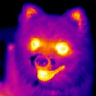 @ganthern:matrix.org
