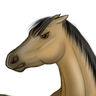 @crazy_horse:matrix.org