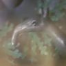 @priner:matrix.org