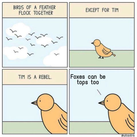 furry_irl-os7svf.jpg