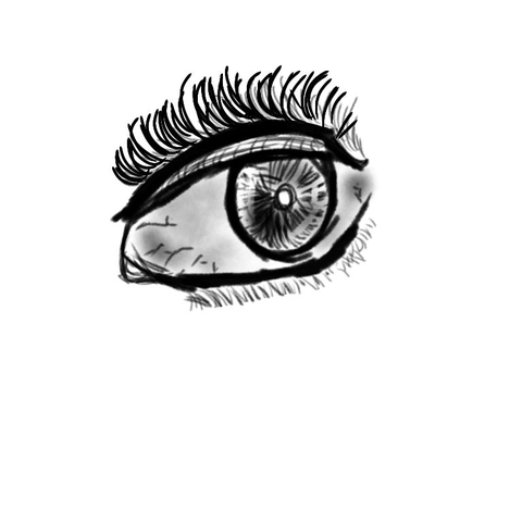 Untitled17.png
