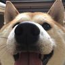 @choempie:matrix.org