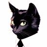 @angw97:matrix.org