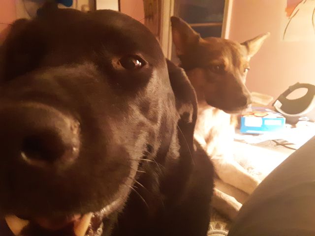20200813_203834.jpg