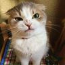 @mil1i:matrix.org
