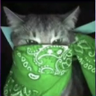 @islender:matrix.org
