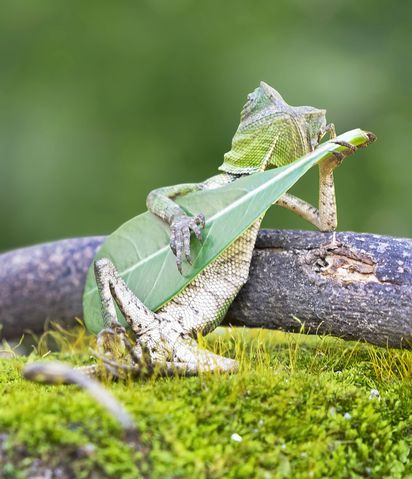 generally-speaking-traps-are-pretty-hot(44bc8f61)1567872415191.jpg