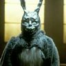 @axeltherabbit:matrix.org