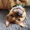 @gavinok:matrix.org