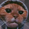@konkybonky:matrix.org