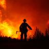 @wildfirefighters:matrix.org