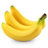 @bananicorn:matrix.org