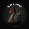 @blackswan-58:matrix.org