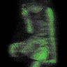 @iwwwakura:matrix.org